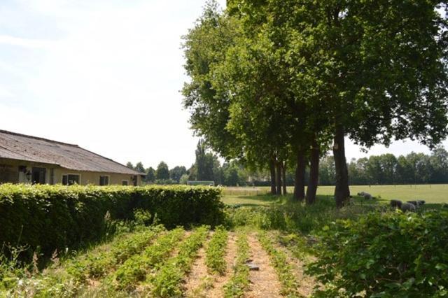 Residentie De Hoek Den Dungen Extérieur photo